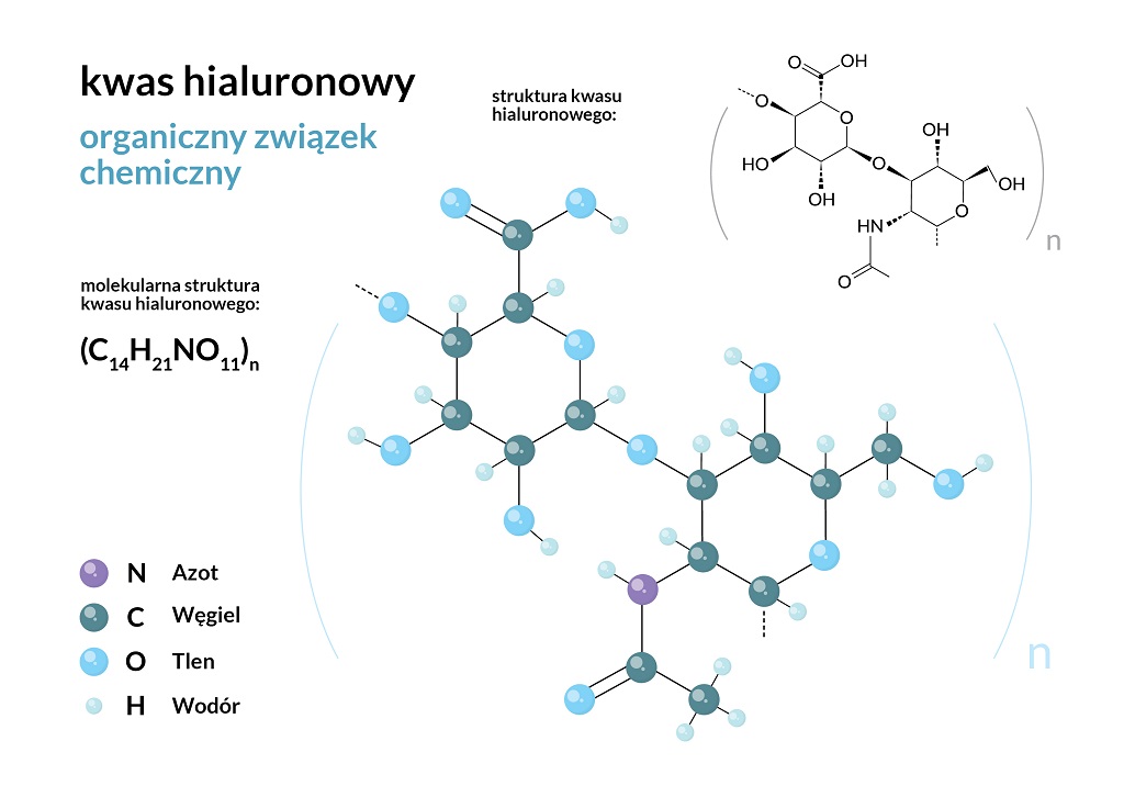 kwas hialuronowy budowa